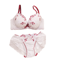Kawaii Embroidered Set